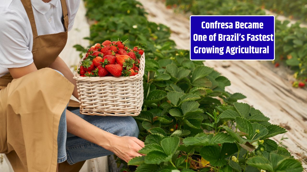 Confresa Became One of Brazil’s Fastest-Growing Agricultural Towns