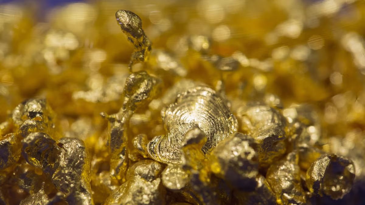 Gold Rush 2.0