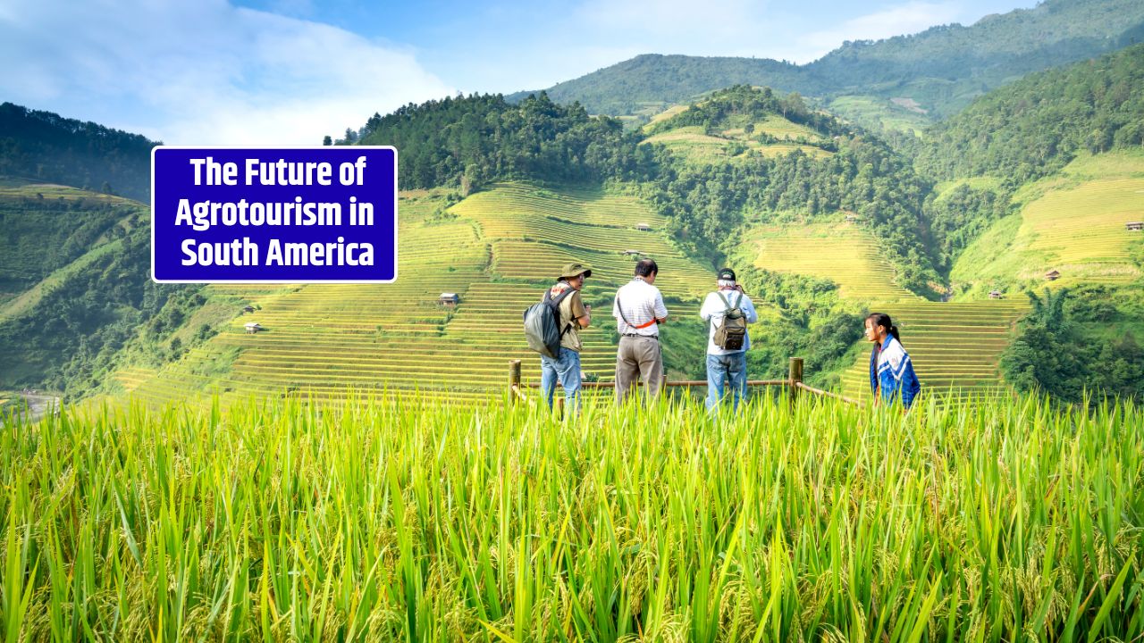 The Future of Agrotourism in South America